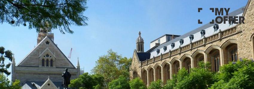 弗林德斯大学可为国际留学生提供哪些专业的学习？