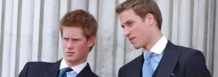 真不合？哈里王子首次袒露与威廉关系存在裂痕！