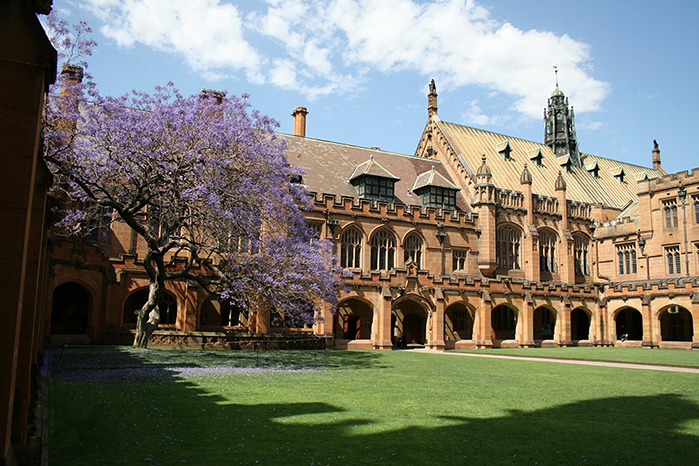 悉尼大学综合排名