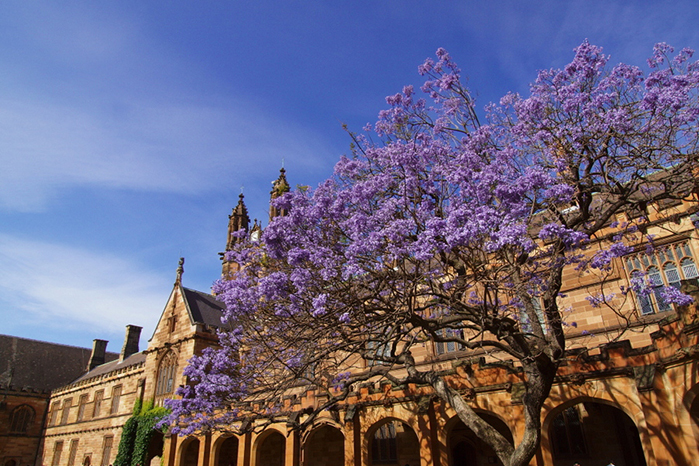 悉尼大学一般几月份开学